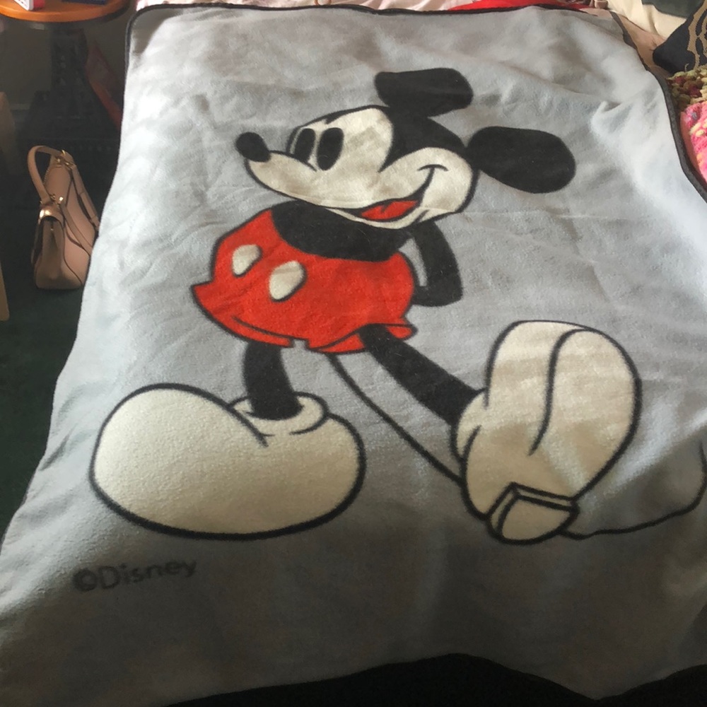 Disney Travel Blanket